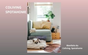 Lire la suite à propos de l’article Bienfaits du coliving comme à spotahome